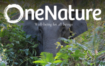 Discover the Impact of OneNature